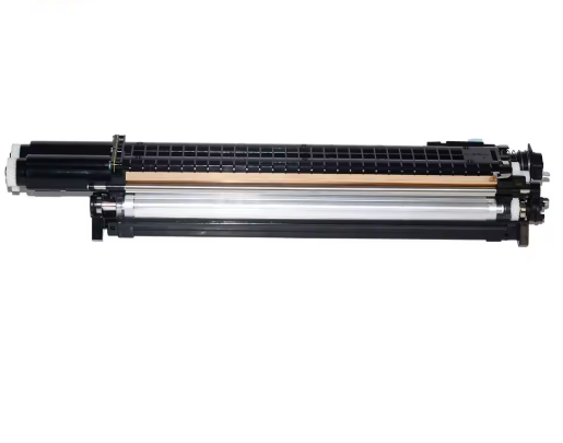 Trommeleinheit Xerox Schwarz XERC560DVBK